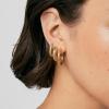 image:imageHey Harper Hoop Earrings For Women Trendy  Lightweight Waterproof amp Sweatproof JewerlyDaphne Amelia Earrings