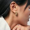 image:imageHey Harper Hoop Earrings For Women Trendy  Lightweight Waterproof amp Sweatproof JewerlyDaphne Anisa Earrings